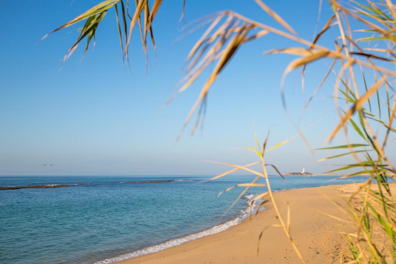 Casita Lulu Villa El Palmar  Dış mekan fotoğraf